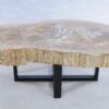 Table basse bois pétrifié 44123