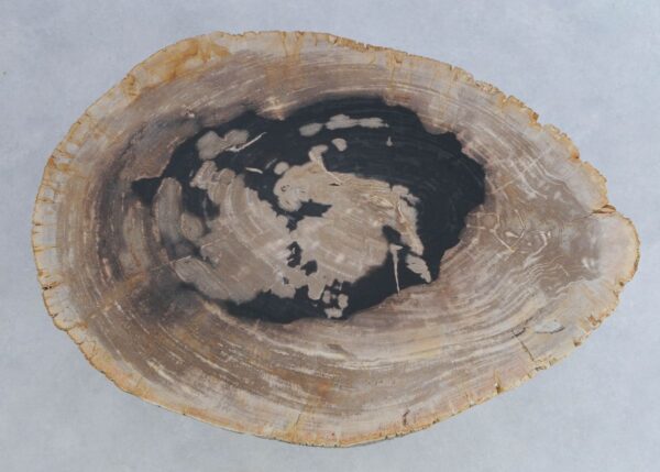 Table basse bois pétrifié 44158