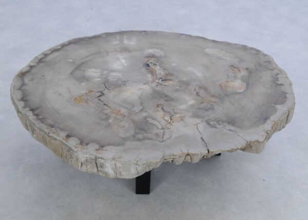 Coffee table petrified wood 45146