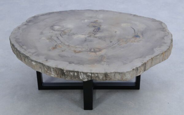 Coffee table petrified wood 45150