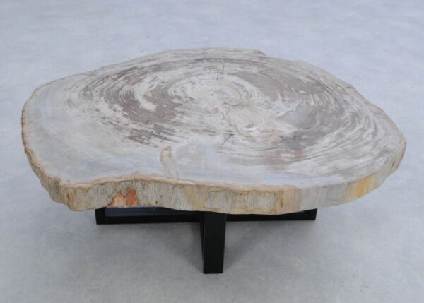 Coffee table petrified wood 45153