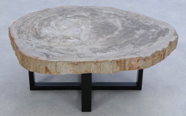 Coffee table petrified wood 45154