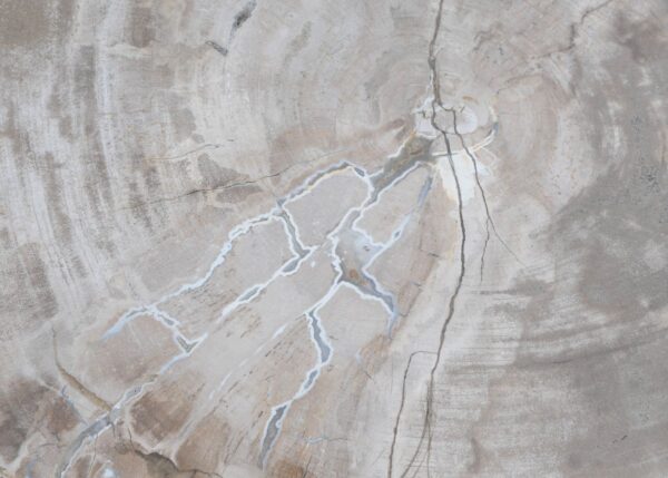 Coffee table petrified wood 45154