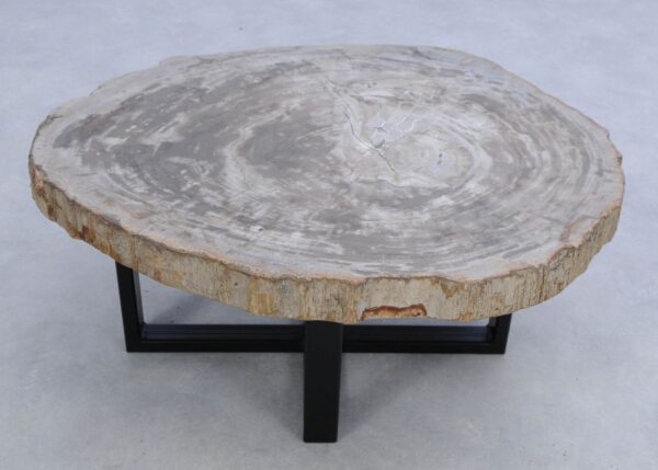 Coffee table petrified wood 45154