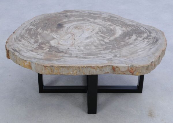 Coffee table petrified wood 45155