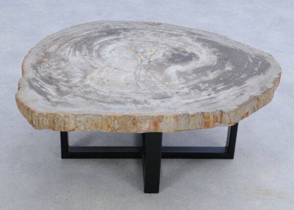 Coffee table petrified wood 45156