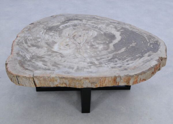 Coffee table petrified wood 45157