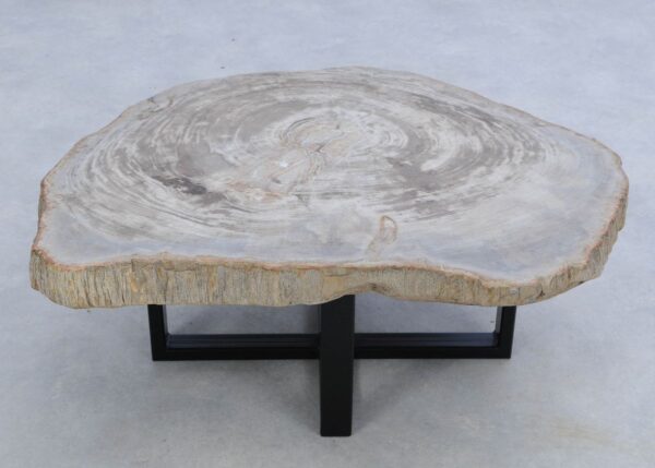 Coffee table petrified wood 45158