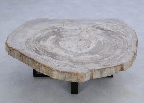 Coffee table petrified wood 45158
