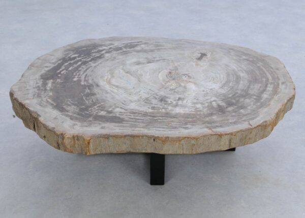 Coffee table petrified wood 45160