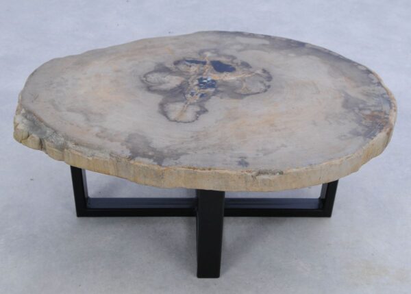 Coffee table petrified wood 45161