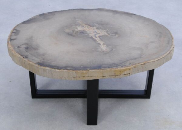 Coffee table petrified wood 45163