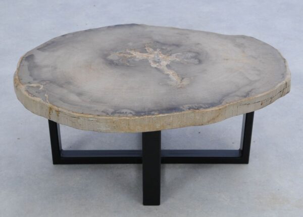 Coffee table petrified wood 45164