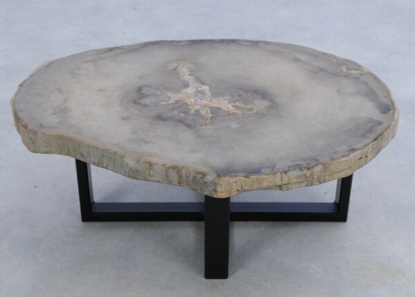 Coffee table petrified wood 45164