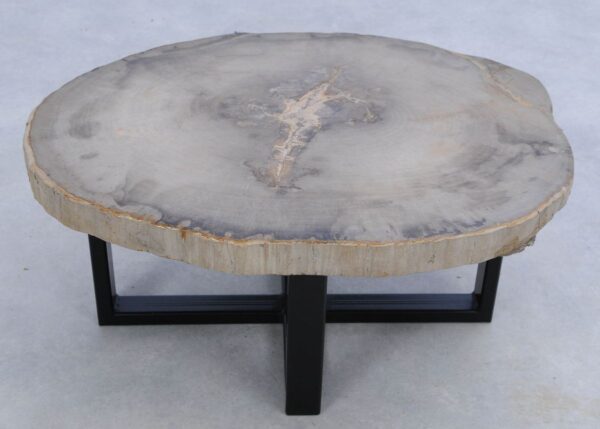 Coffee table petrified wood 45165
