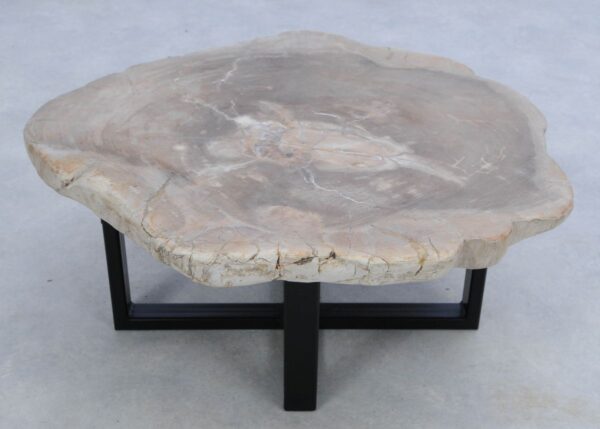 Coffee table petrified wood 45166