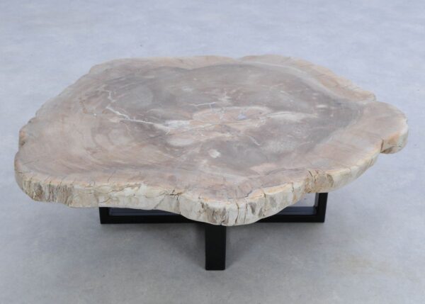 Coffee table petrified wood 45167