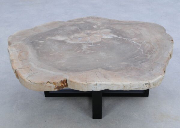 Coffee table petrified wood 45167