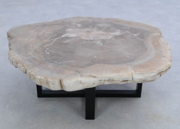 Coffee table petrified wood 45168