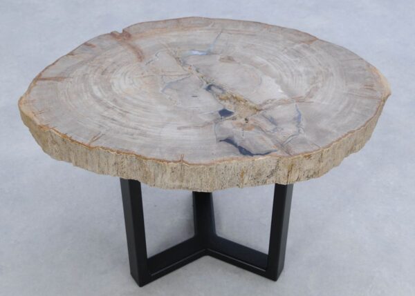 Coffee table petrified wood 45169