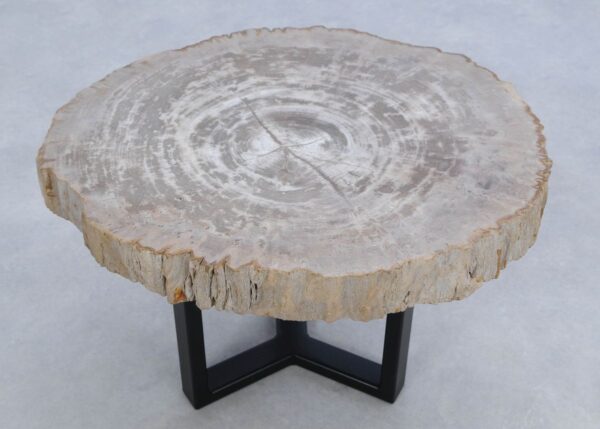 Coffee table petrified wood 45170