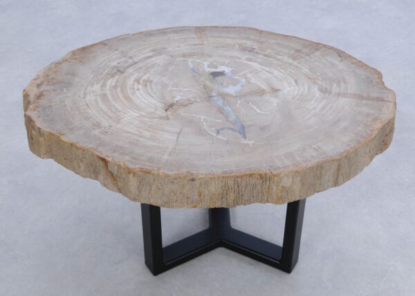 Coffee table petrified wood 45172
