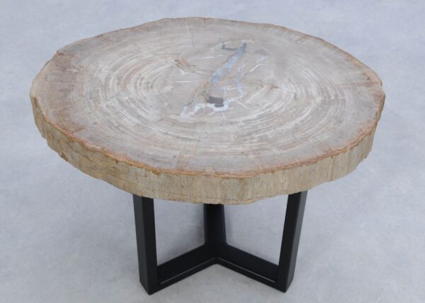 Coffee table petrified wood 45174