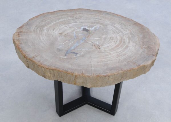 Coffee table petrified wood 45174
