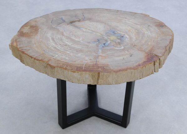 Coffee table petrified wood 45175