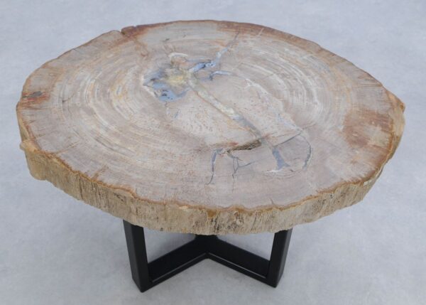 Coffee table petrified wood 45175