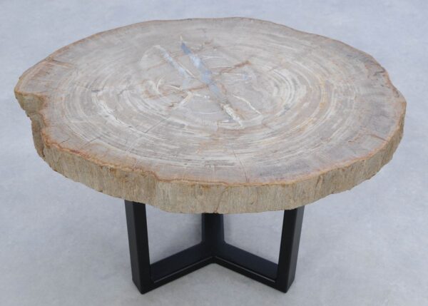 Coffee table petrified wood 45176