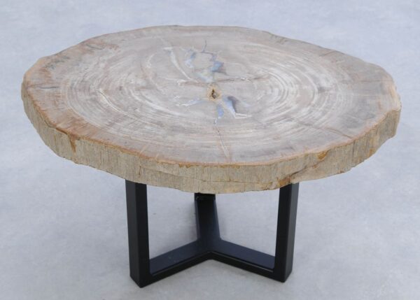 Coffee table petrified wood 45177