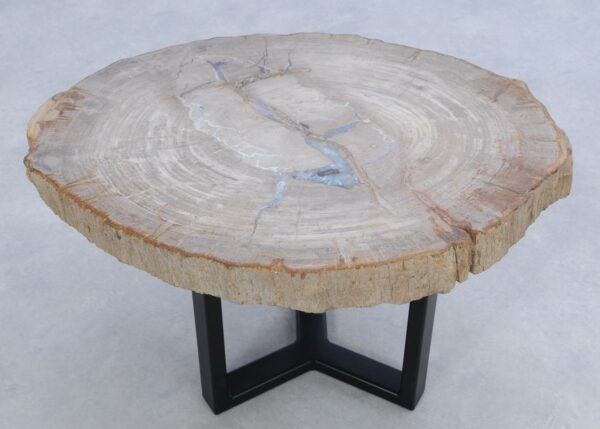 Coffee table petrified wood 45178