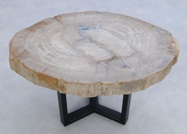 Coffee table petrified wood 45178