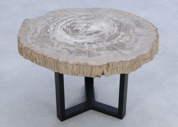 Coffee table petrified wood 45179