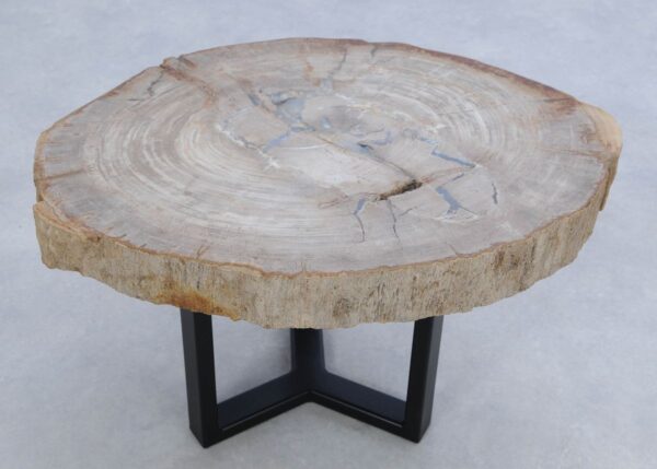 Coffee table petrified wood 45180