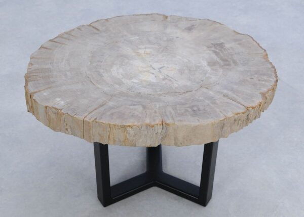 Coffee table petrified wood 45182