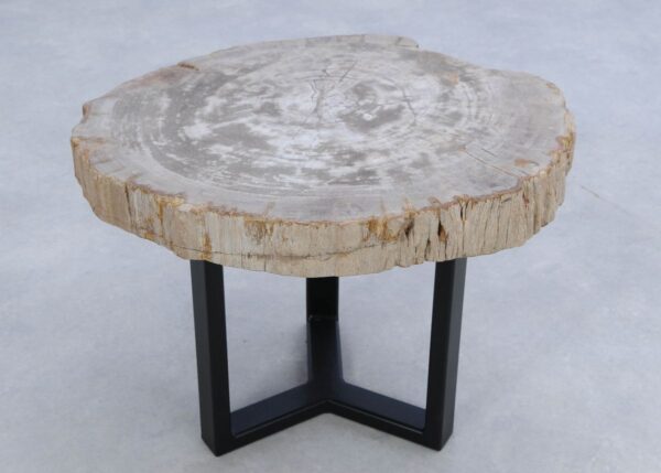 Coffee table petrified wood 45184