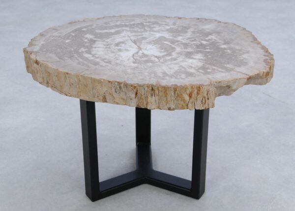 Coffee table petrified wood 45185