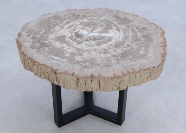 Coffee table petrified wood 45187