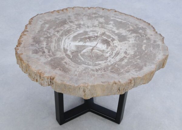 Coffee table petrified wood 45187