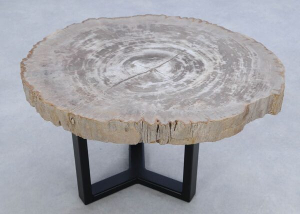 Coffee table petrified wood 45189