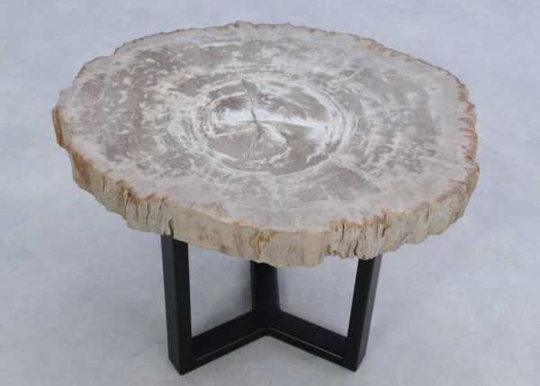 Coffee table petrified wood 45190
