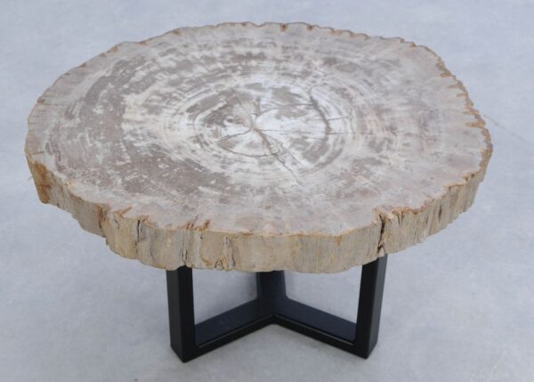 Coffee table petrified wood 45192