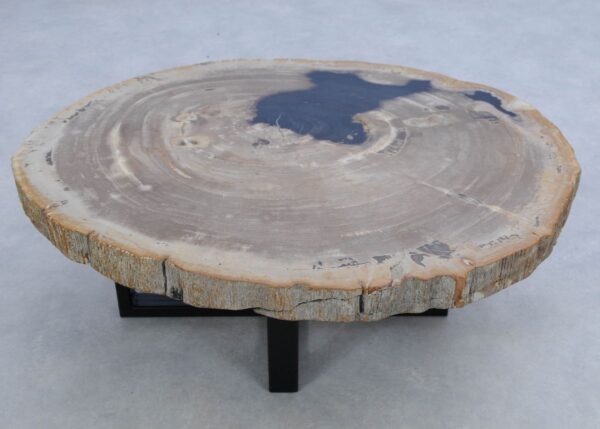 Coffee table petrified wood 45208