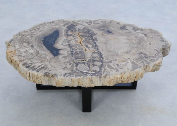 Coffee table petrified wood 45209