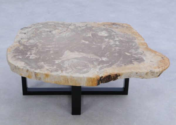 Coffee table petrified wood 45210