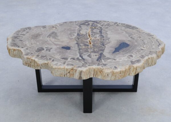 Coffee table petrified wood 45211