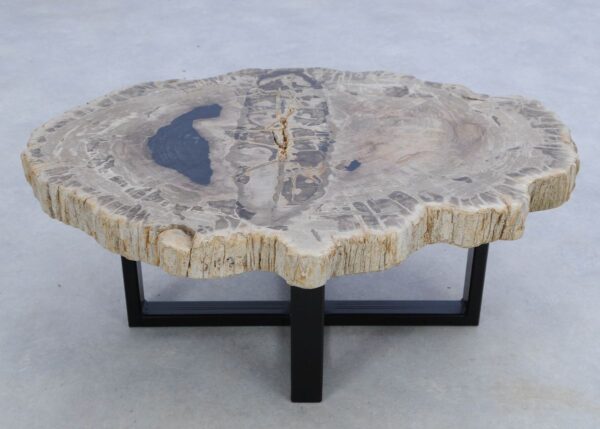 Coffee table petrified wood 45213