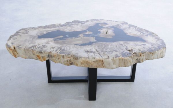 Coffee table petrified wood 45216